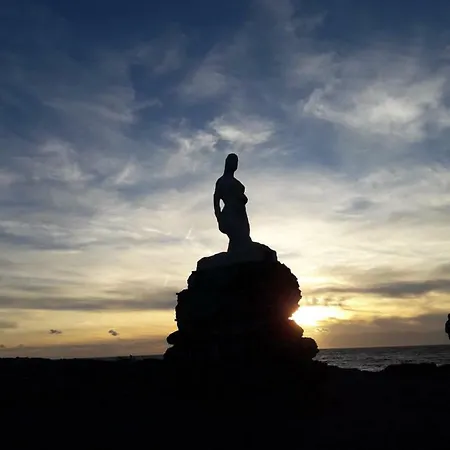 La Petite Maison De Melanie 30m Ferienhaus Six-Fours-les-Plages